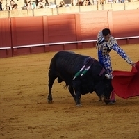 2014.06.22-480.JPG