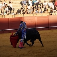 2014.06.22-481.JPG