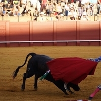2014.06.22-485.JPG
