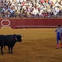 2014.06.22-486.JPG