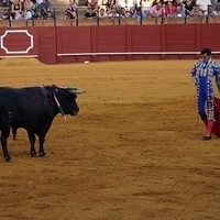 2014.06.22-487.JPG