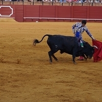 2014.06.22-489.JPG