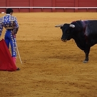 2014.06.22-491.JPG