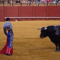 2014.06.22-492.JPG