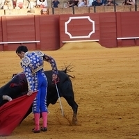 2014.06.22-495.JPG