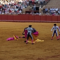 2014.06.22-498.JPG