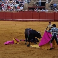 2014.06.22-499.JPG