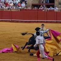 2014.06.22-500.JPG