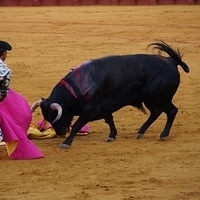 2014.06.22-506.JPG
