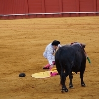 2014.06.22-507.JPG