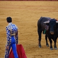 2014.06.22-508.JPG