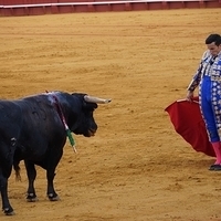 2014.06.22-510.JPG