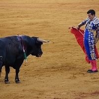 2014.06.22-511.JPG