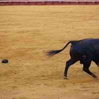 2014.06.22-512.JPG