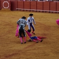 2014.06.22-513.JPG