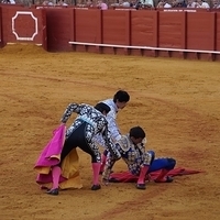 2014.06.22-514.JPG
