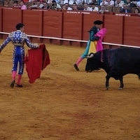 2014.06.22-516.JPG
