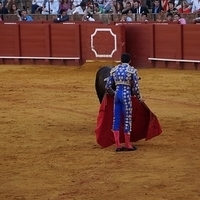 2014.06.22-517.JPG