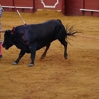 2014.06.22-519.JPG