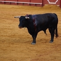 2014.06.22-521.JPG