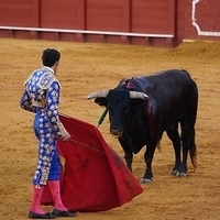 2014.06.22-522.JPG