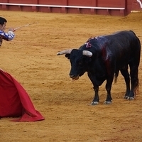 2014.06.22-523.JPG