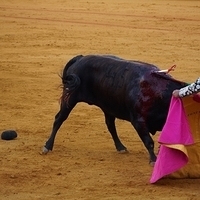 2014.06.22-525.JPG