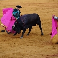 2014.06.22-526.JPG