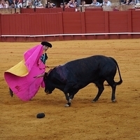 2014.06.22-528.JPG