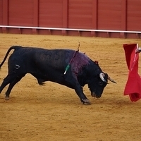 2014.06.22-530.JPG