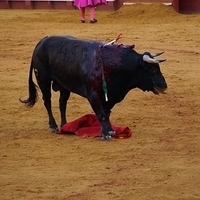 2014.06.22-534.JPG