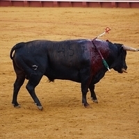 2014.06.22-536.JPG