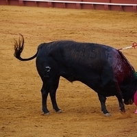2014.06.22-538.JPG