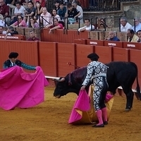 2014.06.22-539.JPG