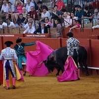 2014.06.22-540.JPG