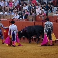 2014.06.22-541.JPG