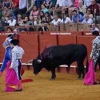 2014.06.22-542.JPG