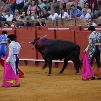 2014.06.22-543.JPG