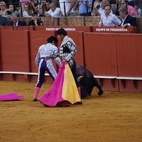 2014.06.22-544.JPG