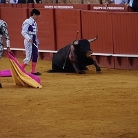 2014.06.22-545.JPG