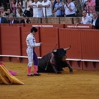 2014.06.22-546.JPG
