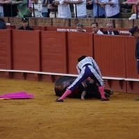 2014.06.22-551.JPG