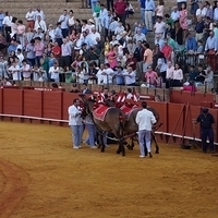 2014.06.22-553.JPG