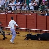 2014.06.22-556.JPG