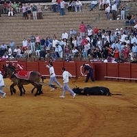 2014.06.22-557.JPG