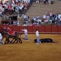 2014.06.22-558.JPG