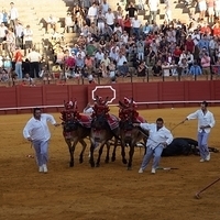 2014.06.22-559.JPG