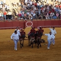 2014.06.22-560.JPG