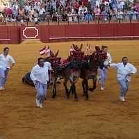 2014.06.22-561.JPG
