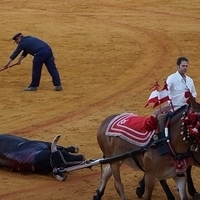 2014.06.22-562.JPG